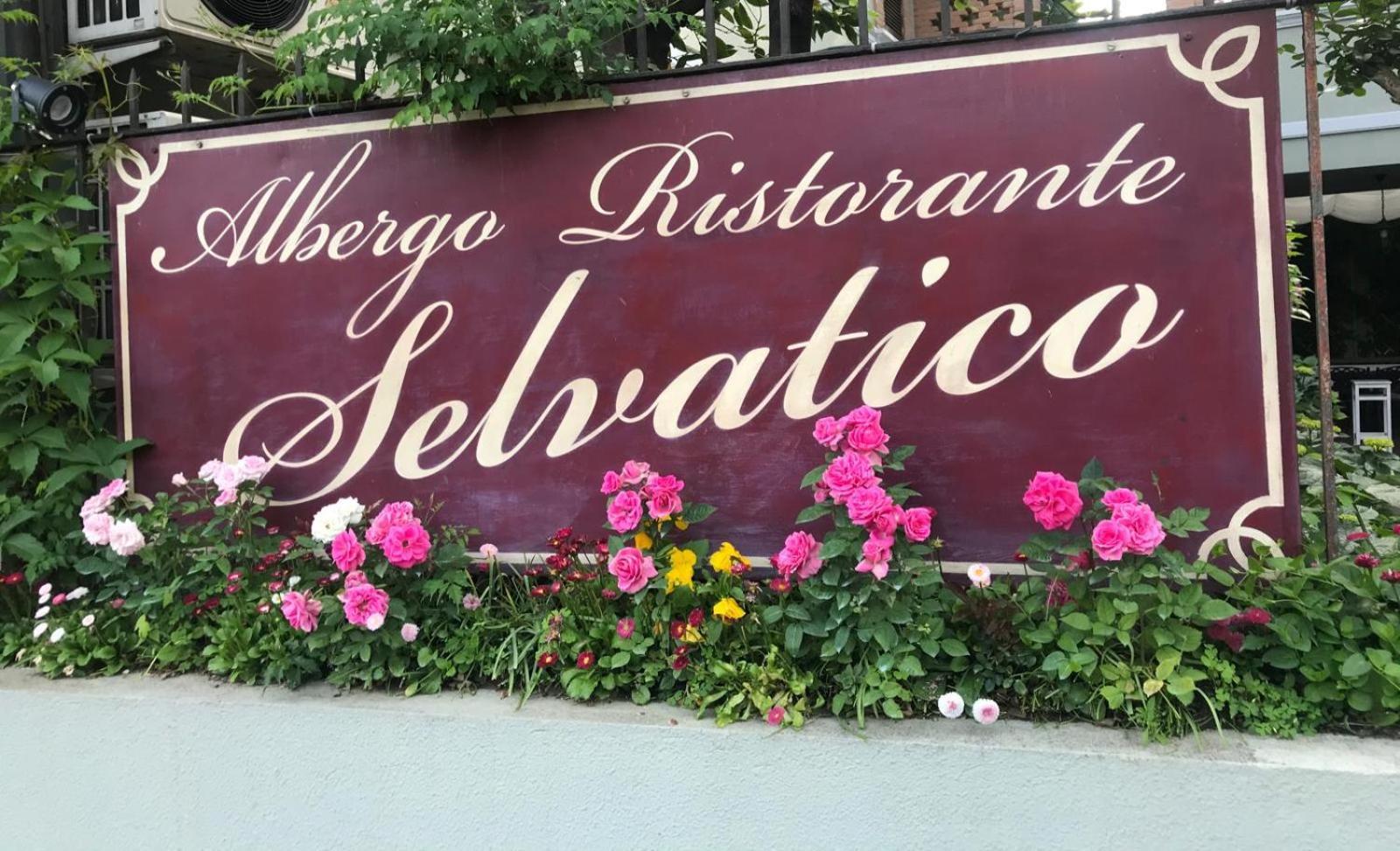 Albergo & Ristorante Selvatico Rivanazzano Terme Bagian luar foto